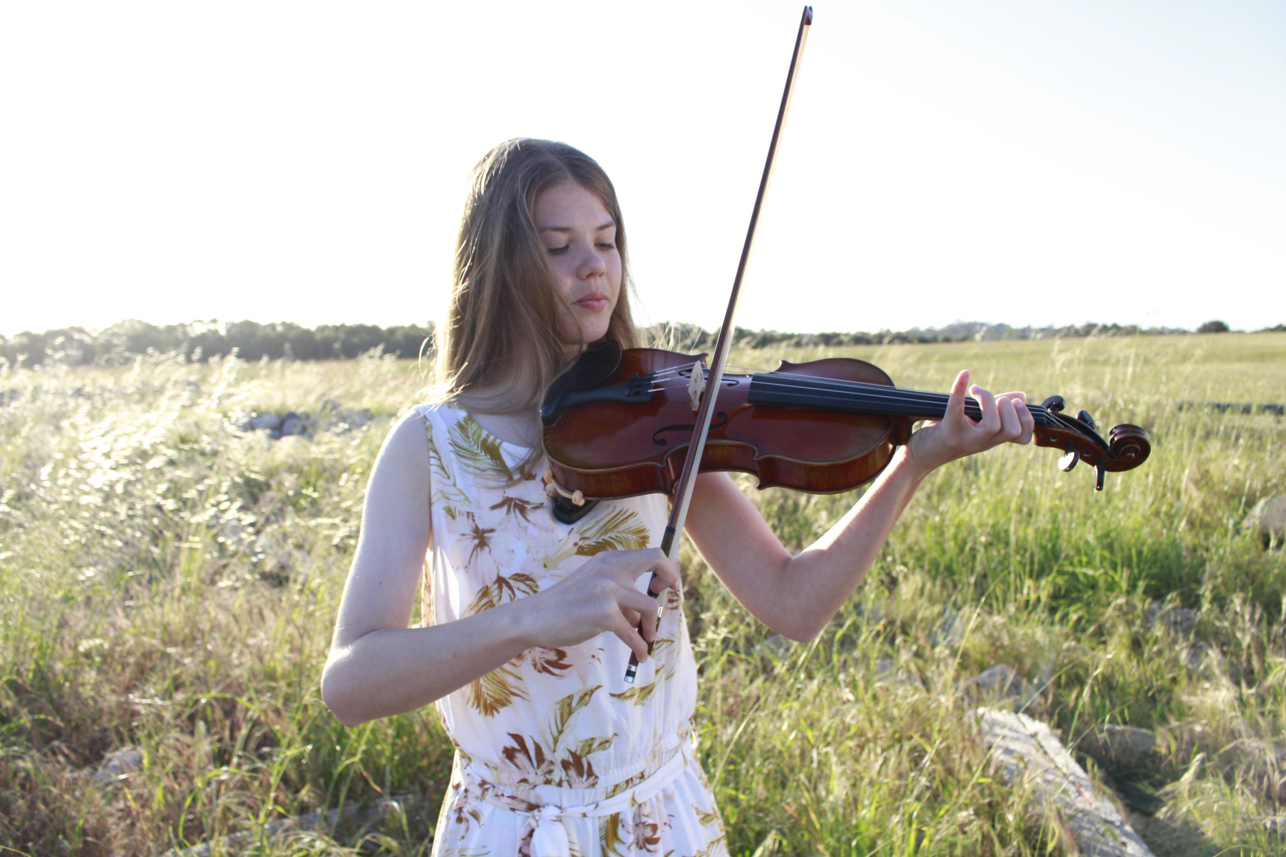 Paganini Vintage Violin