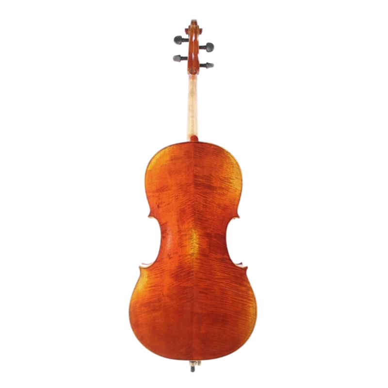 Paganini Vintage Cello