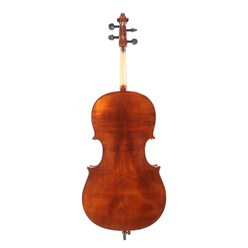 Paganini 500 series cello